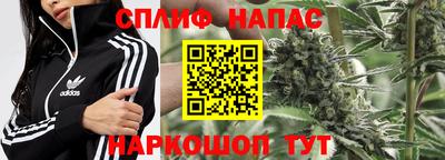 спайс Гусев