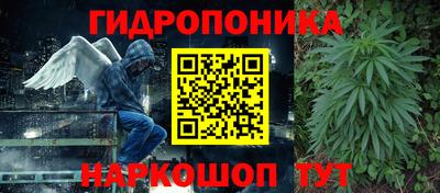 прущие грибы Гусиноозёрск