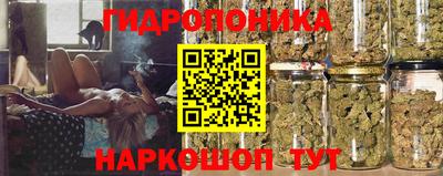 прущие грибы Гусиноозёрск