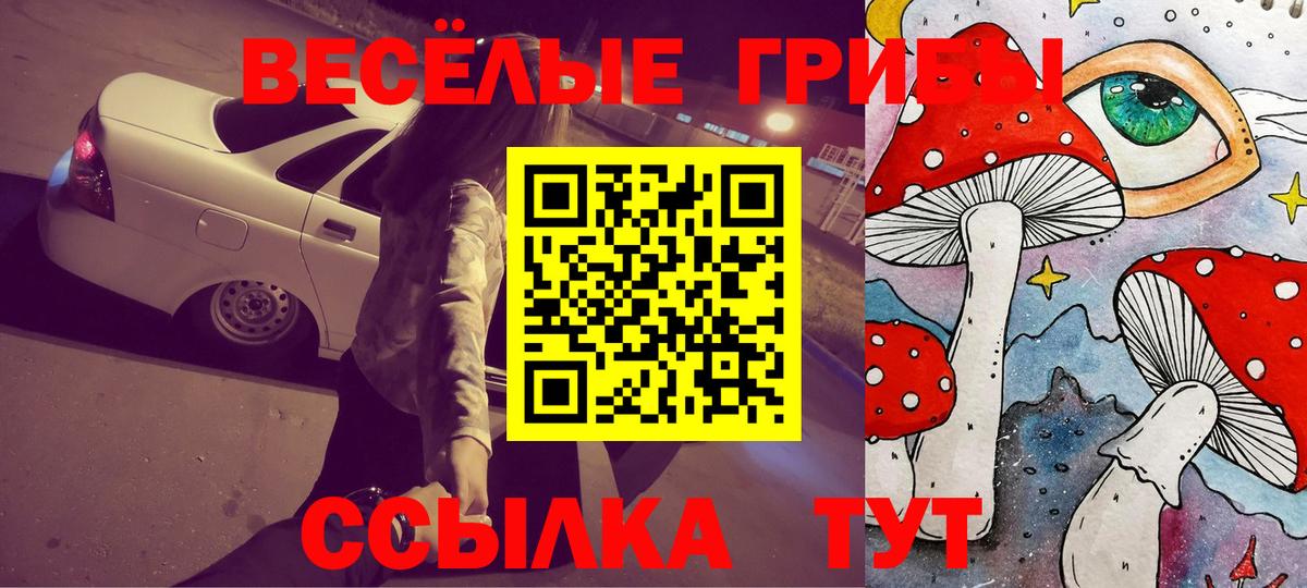 Псилоцибиновые грибы мицелий  Псилоцибиновые грибы GOLDEN TEACHER  дарнет шоп  Михайловск  Вход с VPN 